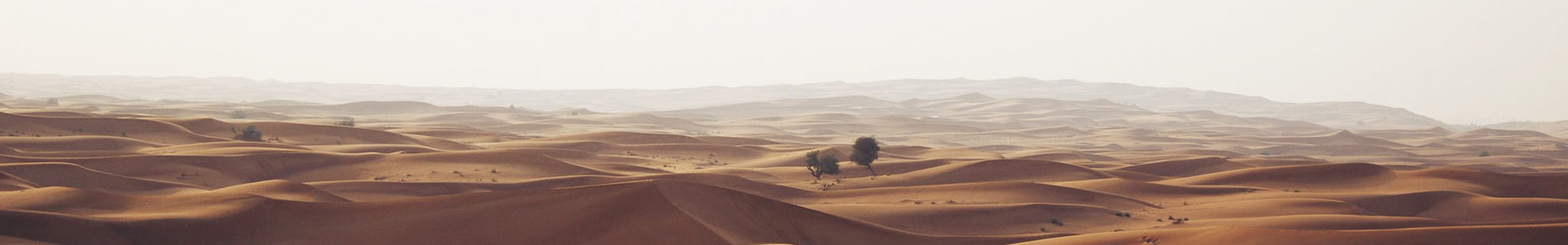 ˼ؿƼ޹˾